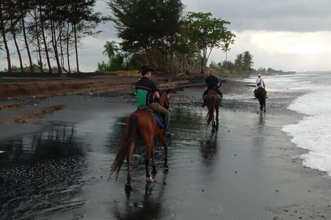 Bali Horse Riding Trot & Canter Saba Beach with Local Temple - Price and Value: What $39 Buys You in Real Terms