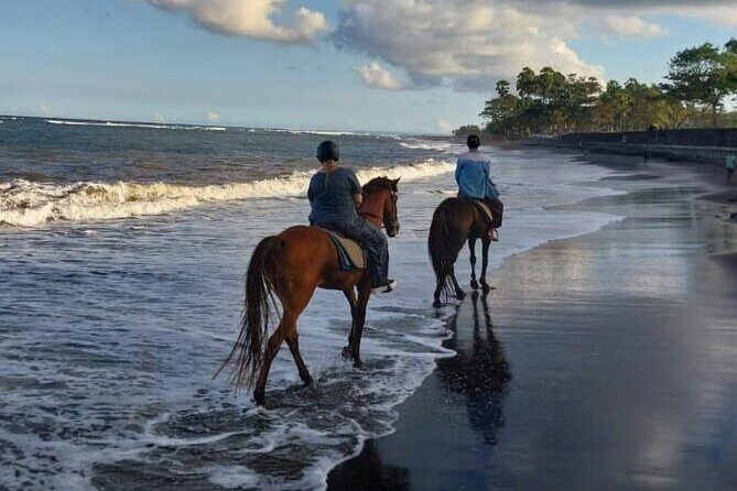 Bali Horse Riding Trot & Canter Saba Beach with Local Temple - Timing, Pickup, and How to Plan Your Day