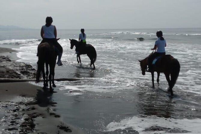 Bali Horse Riding Trot & Canter Saba Beach with Local Temple - Who This Horse Ride Is Best For (and Who Should Skip It)