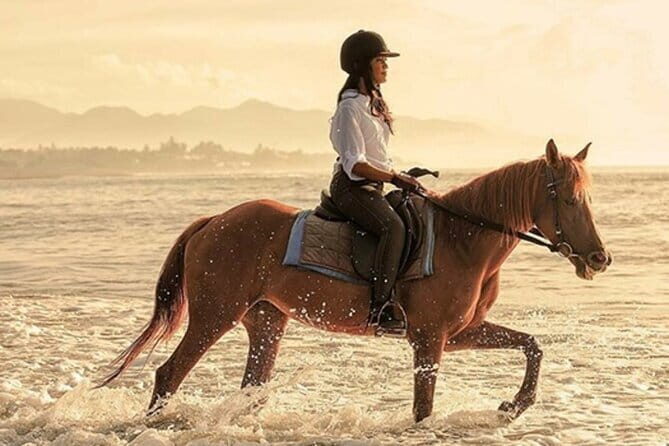 Bali Horse Riding, Waterfall, Rice Terrace, Lunch - All Inclusive - Key points worth knowing