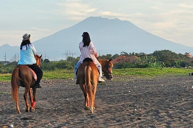 Bali Horse Riding, Waterfall, Rice Terrace, Lunch - All Inclusive - Tegenungan Waterfall: Built For Safe Footing