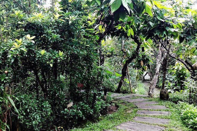 Bali in 1-Day : Rice Terrace, Volcano, Tanah lot - All Inclusive - Pura Puseh Desa Batuan: carved details and Bali Hindu context