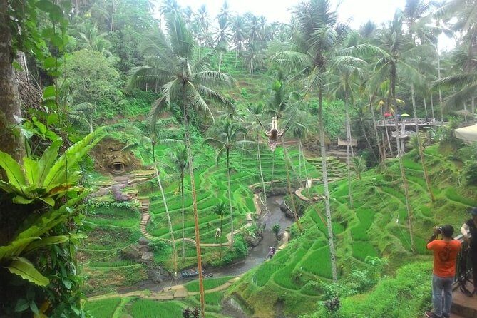 Bali in 1-Day : Rice Terrace, Volcano, Tanah lot - All Inclusive - Kintamani highlands and Lake Batur: volcano views with real breathing room