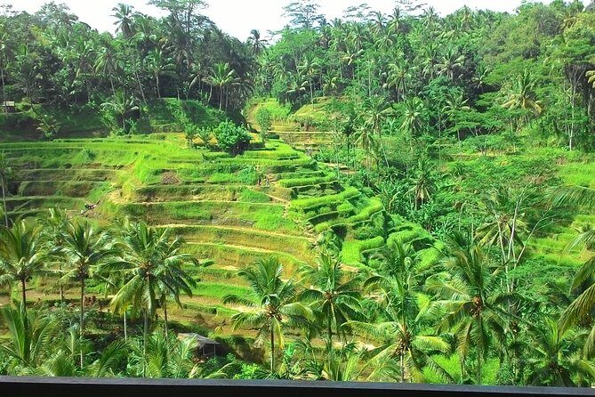 Bali in 1-Day : Rice Terrace, Volcano, Tanah lot - All Inclusive - Getting picked up at 9am and starting with a temple mindset