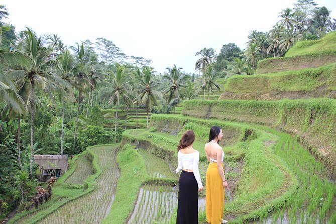 Bali Instagram Most Iconic Spots Private Tour - Lempuyang Temple’s Gate of Heaven: 1,700+ steps and photo timing