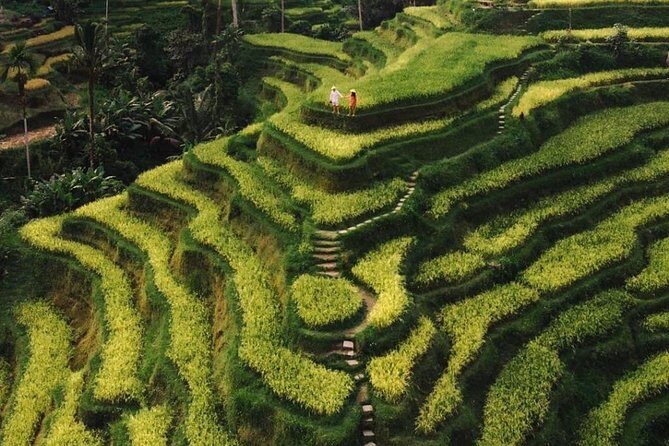 Bali Instagram Tour - All Inclusive - Why This 10-Hour Instagram Sprint Starts Before Dawn