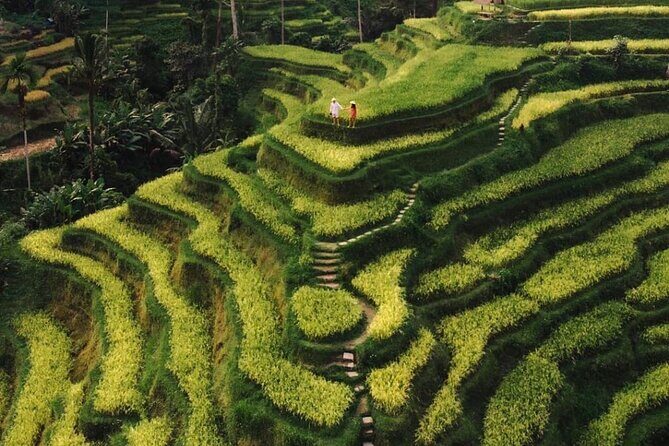 Bali Instagram Tour - All Inclusive - Optional Aloha Ubud Swing: Worth It, or Skip It?