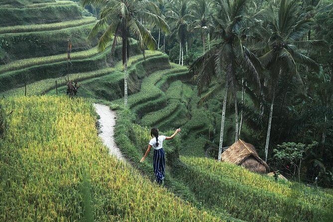 Bali Instagram Tour from Your Hotel (Private & Full-day) - Waterfall and temple stops that work as photo variety