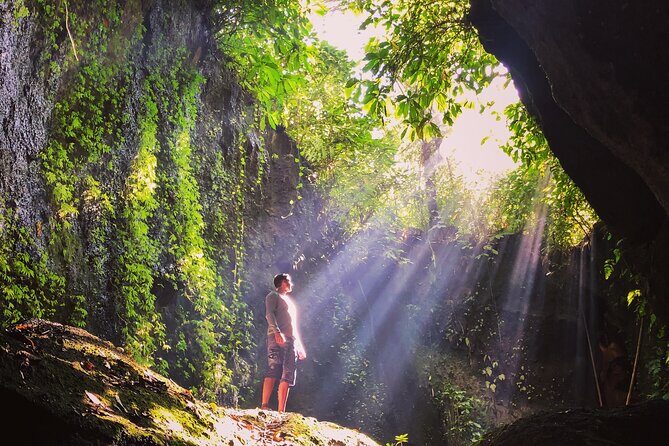 Bali Instagram Tour: Gate of Heaven, Swing and Waterfall Day Tour - Tegalalang rice terraces: Subak irrigation makes the view make sense