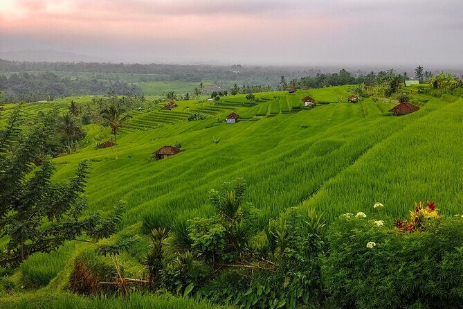 Bali Instagram Tour - Lempuyang Bali Gate of Heaven - East Bali highlights: Tirta Gangga, Tukad Cepung, and Karangasem rice terraces