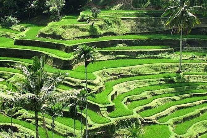 Bali Instagram Tour : The Most Popular Spots In Bali - How the 10-hour plan stays manageable (even when you’re not a photo robot)