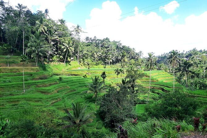 BALI INSTAGRAM TOURS; Heaven Gate, Tirta Gangga, Tukad Cepung waterfall - Tickets and the Real Value of a $50 Private Day