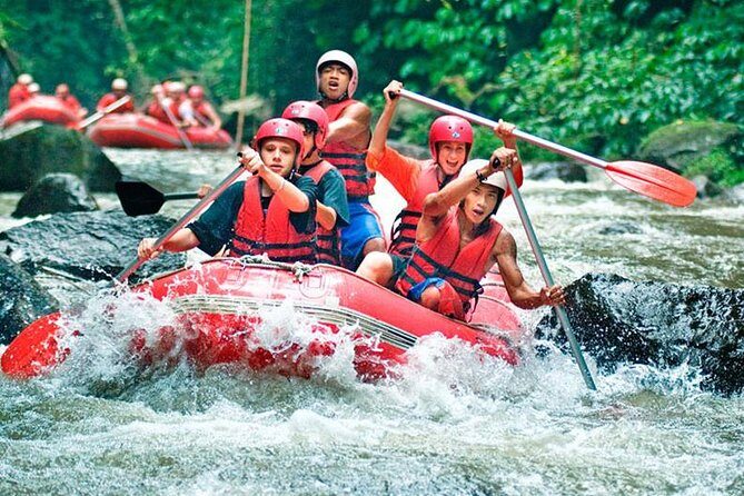 Bali Jungle Swing and White Water Rafting All Inclusive - Bali Pertiwi Rafting on the Ayung River: rapids, rainforest, and real steps