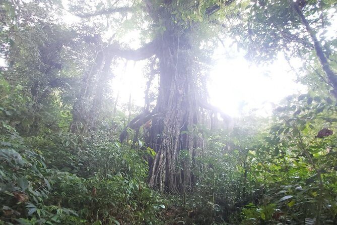 Bali Jungle Trekking and Lake Canoeing Tour - The guides make the day: names you’ll hear and the style that matters