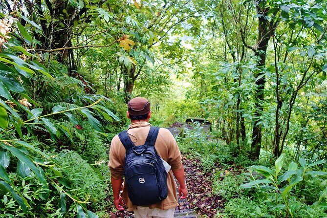 Bali Jungle Trekking in Beautiful Rainforest - Buyan Lake: twin-lake vibes with a quieter feel