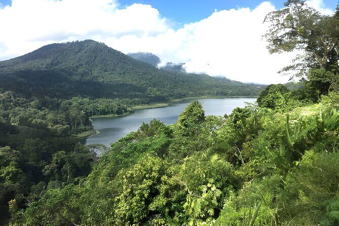 Bali Jungle Trekking in Beautiful Rainforest - Tamblingan Lake: the first hour of cool plateau air