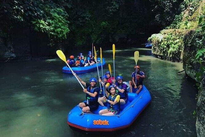 Bali Jungle White Water Rafting Adventure - Ayung River Class II and III rapids, rainforest views included