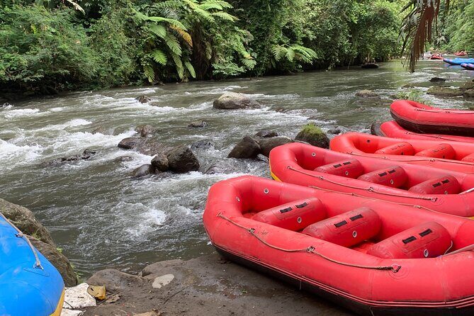 Bali Jungle White Water Rafting Adventure - What the rafting day feels like on the water (and why the calm part matters)