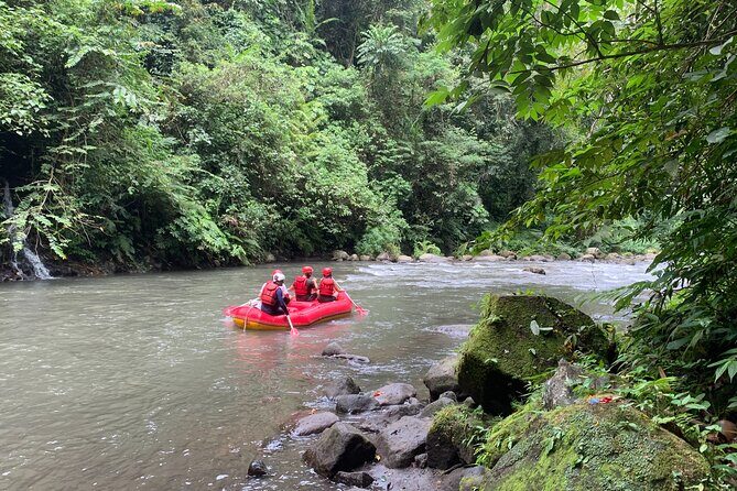 Bali Jungle White Water Rafting Adventure - Value check for about $51.29: does it pencil out?
