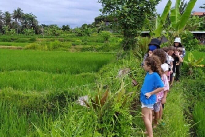 Bali: Lempuyang Temple, Waterfall & Rice Terrace Private Tour - Tegalalang Rice Terrace and the Subak irrigation walk