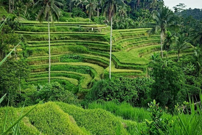 Bali Lempuyang Temple, Waterfall with Rice Terrace Tour - Stop 2: Tirta Gangga water palace and its 1948-era design