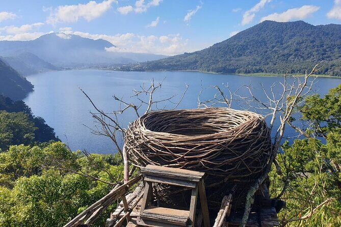 Bali Lovina Dolphin and North Bali Sightseeing - All Inclusive - Key points to know before you go