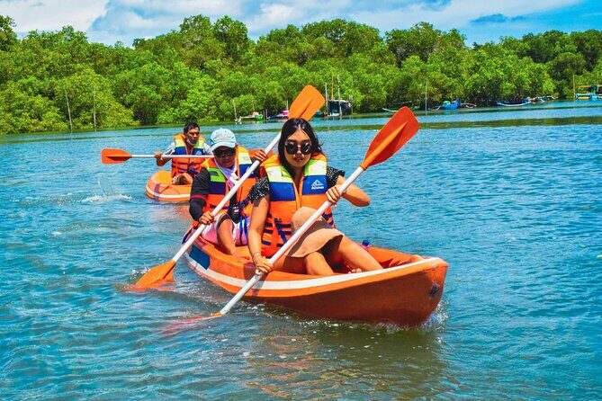 Bali Mangrove Canoeing Tour - Key highlights before you go