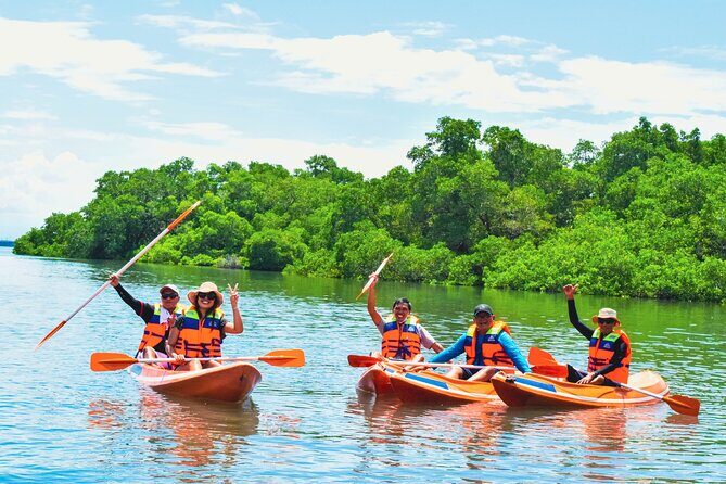 Bali Mangrove Canoeing Tour - What You’re Really Doing in Bali’s Mangroves
