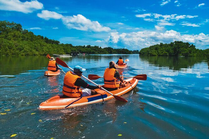 Bali Mangrove Canoeing Tour - Who This Tour Suits Best (and Who Should Reconsider)