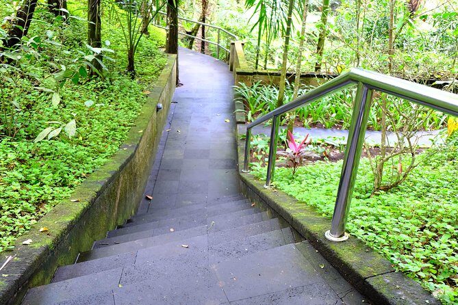 Bali Mason Adventure White Water Rafting - Lunch, showers, and the little comforts that make it feel complete