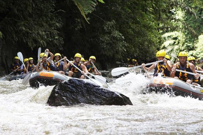 Bali Mason Adventure White Water Rafting - Who this tour suits (and who should think twice)