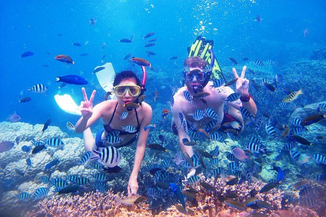Bali Menjangan Island Snorkeling Day Tour - Gear, lunch, and comfort: the unglamorous parts that make the day work