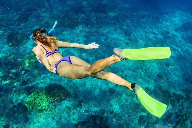 Bali Menjangan Island Snorkeling Day Tour - Small-group pacing: why max 15 makes the snorkeling better