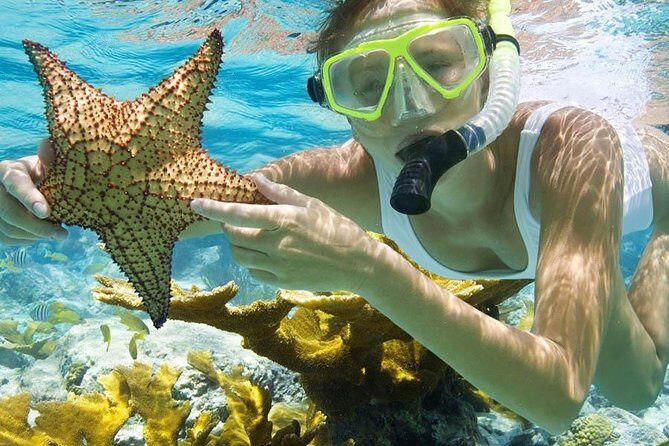 Bali Menjangan Island Snorkeling Day Tour - The big practical checklist before you go