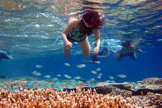 Bali Menjangan Island Snorkeling Day Tour - Kuta Beach as the morning stepping stone