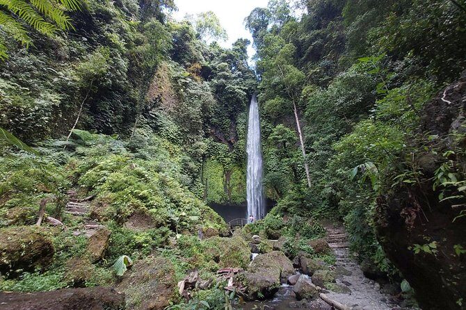 Bali Most Scenic Waterfalls Trekking - North Bali’s Wanagiri Waterfalls: Why This Trek Feels Special