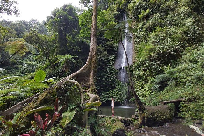Bali Most Scenic Waterfalls Trekking - The Day’s Scenic Route: Temple, Gate, Hills, Lakes, and Rice Terrace