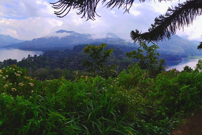 Bali Most Scenic Waterfalls Trekking - Lunch by the Lakes: Included Food That Makes the Day Work