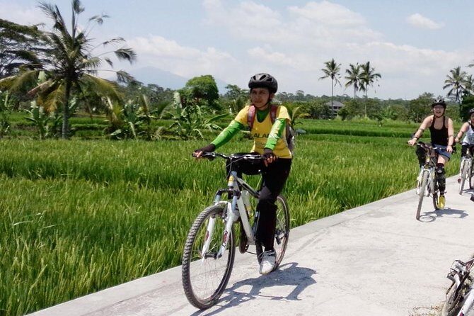 Bali Mountains and Villages Cycling Tour - Key reasons this Bali bike tour feels worth it