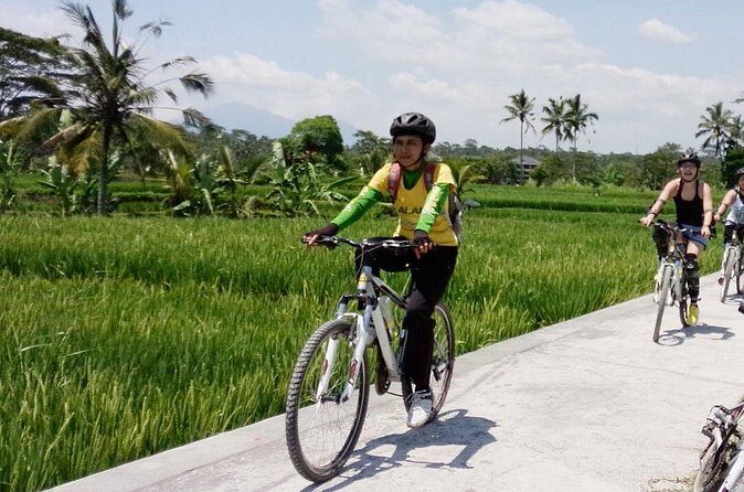 Bali Mountains and Villages Cycling Tour - How the day flows: from 7:30 am pickup to a village-focused ride