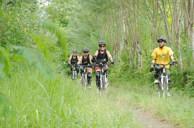 Bali Mountains and Villages Cycling Tour - Kintamani highlands: where the ride begins and why it matters