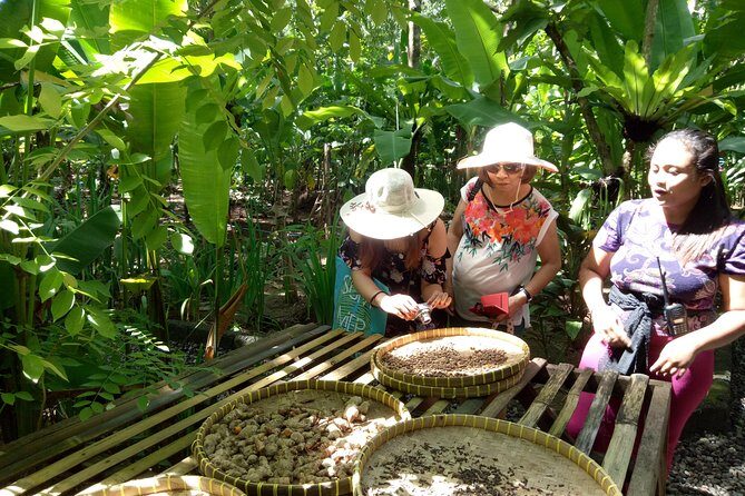 Bali Night Market Experience and Ubud Highlights tour - Tegalalang Rice Terraces: photos are easy, but the farmer time is the point