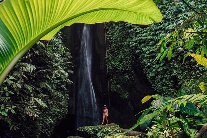 Bali : Northern Bali Private Day Trip with Transfer - Key things to know before you go