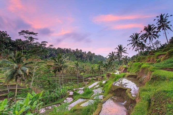 Bali : Northern Bali Private Day Trip with Transfer - Ulun Danu Beratan Temple: classic scenery and why it photographs well