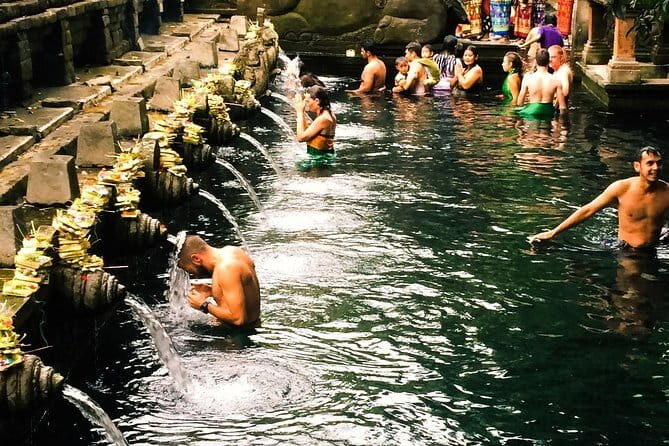 Bali : Northern Bali Private Day Trip with Transfer - Tabanan lunch stop plus Bedugul coffee process
