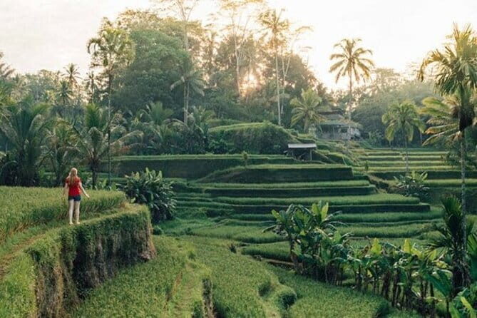 Bali : Northern Bali Private Day Trip with Transfer - Price and comfort: what $42 buys you, and what it doesn’t