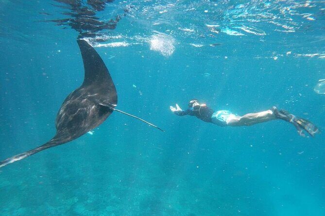 Bali Nusa Penida and Private Snorkeling (Manta Bay, Gamat, Wall) - The highlights that make this day trip worth your time