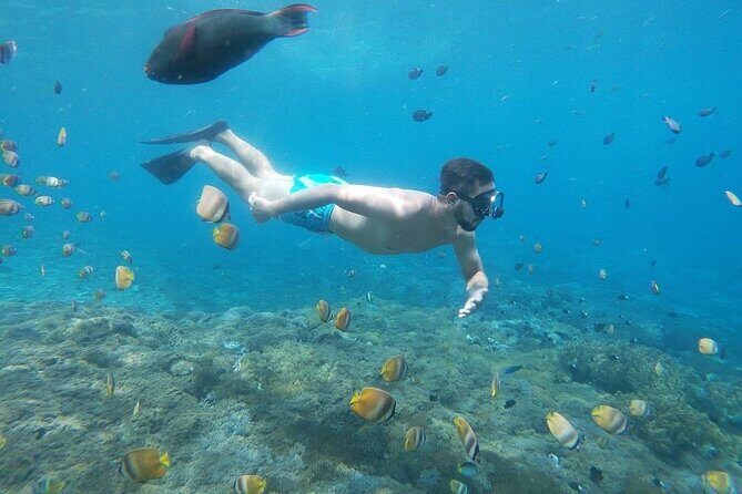 Bali Nusa Penida and Private Snorkeling (Manta Bay, Gamat, Wall) - Snorkeling schedule: three short sessions that add up