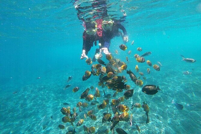 Bali Nusa Penida and Private Snorkeling (Manta Bay, Gamat, Wall) - The real value: “smooth from start to finish” service