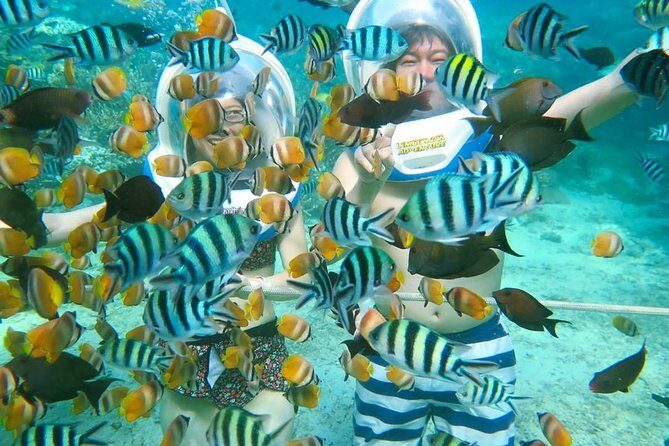 Bali Ocean Walker - Key Points at a Glance